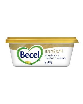 BECEL KASE TEREYAĞ KEYFİ 250 GR 32'Lİ resmi
