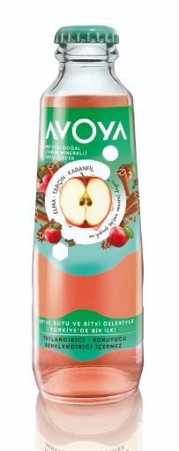 AVOYA MEYVELI ELMA TARÇIN 200 ML resmi